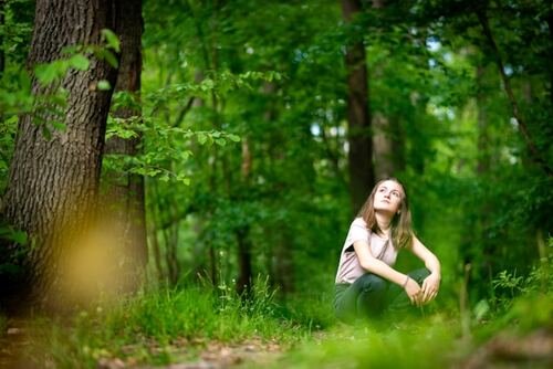forest